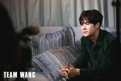 阿飞爆料王嘉尔视频,事件背后真相揭秘  第2张